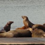 San Francisco - Fischerman Wharf